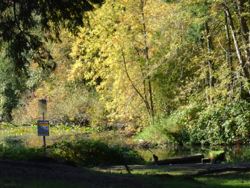 Skelmersdale Town Centre Open Spaces
